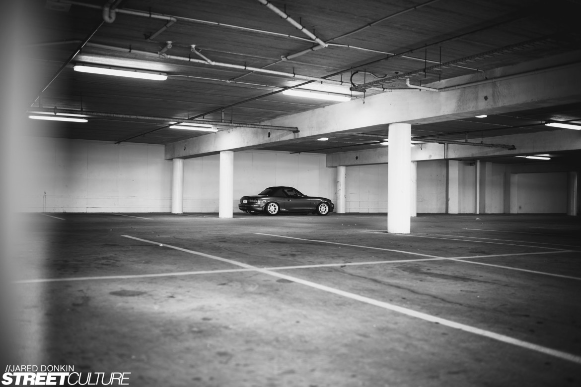 _DSC6381