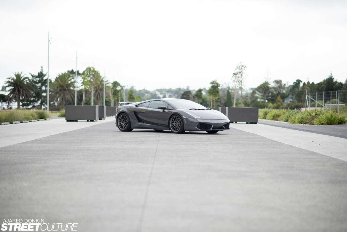 _DSC2331
